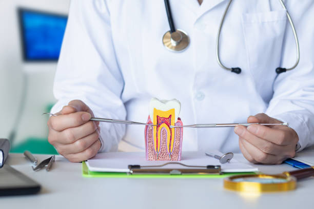Best Emergency Dental Care for Abscessed Tooth in Emmon, AK